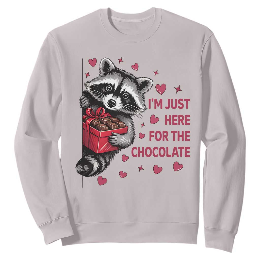 Valentine Racoon Trash Panda Sweatshirt I'm Just Here For The Chocolate TS14 Ice Gray Print Your Wear