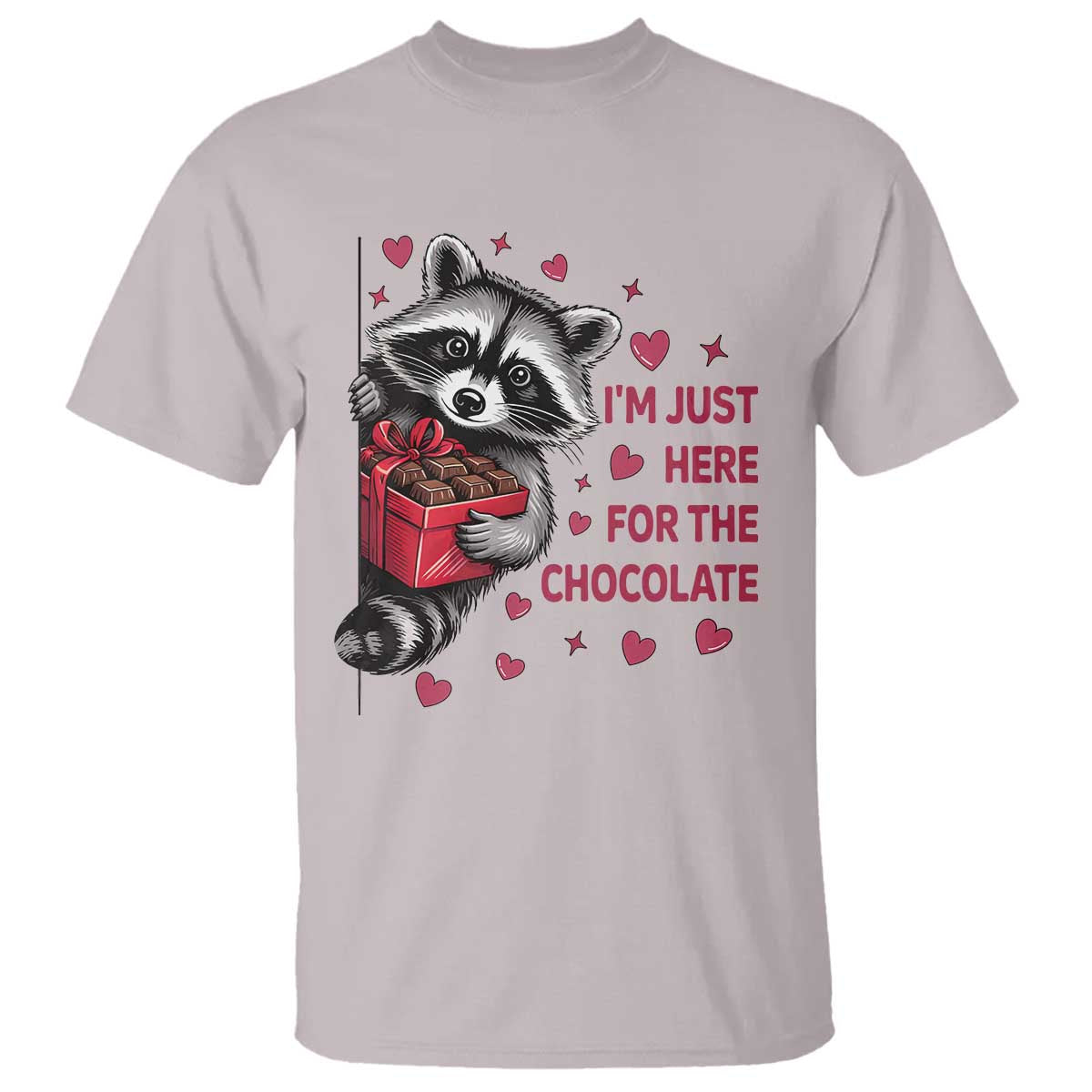 Valentine Racoon Trash Panda T Shirt I'm Just Here For The Chocolate TS14 Ice Gray Print Your Wear
