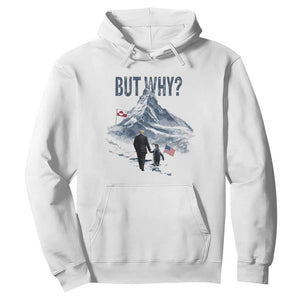 But Why Penguin Hoodie Head Towards The Mountains Penguin Meme TS14 White Print Your Wear