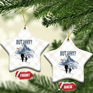 But Why Penguin Ceramic Ornament Head Towards The Mountains Penguin Meme TS14 Print Your Wear