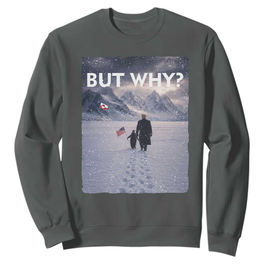But Why Penguin Sweatshirt Trump Nihilist Penguin Political Meme Minimal TS14 Dark Heather Print Your Wear