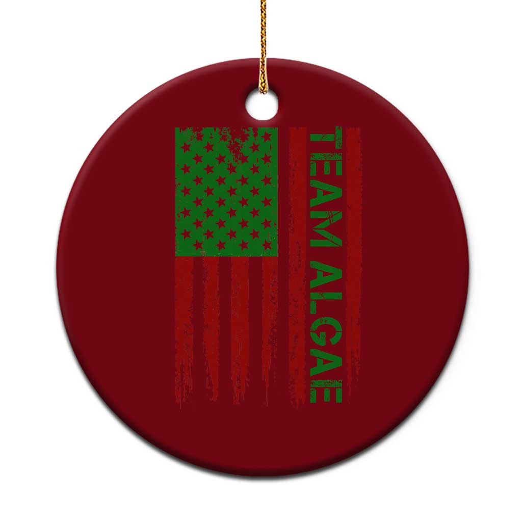 Team Algae Ceramic Ornament Funny Make Algae Great Again American Flag Political Meme TS14 1pc Red Print Your Wear
