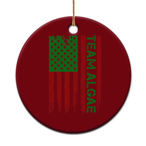 Team Algae Ceramic Ornament Funny Make Algae Great Again American Flag Political Meme TS14 1pc Red Print Your Wear