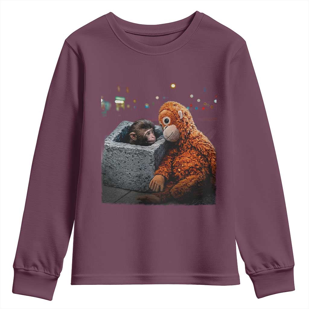 Punch Mokey Youth Sweatshirt Viral Trend Baby Monkey Streets Meme TS14 Maroon Print Your Wear