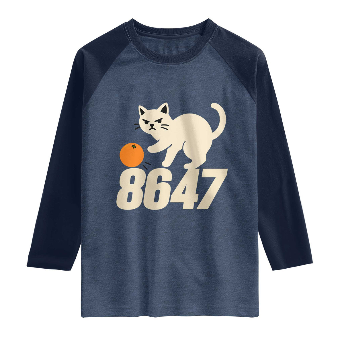 8647 FDT Raglan Shirt Funny Cat Political Meme TS14 Heather Denim Navy Print Your Wear