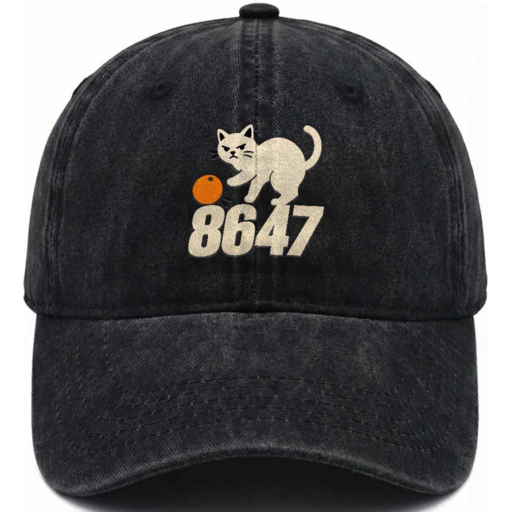 8647 FDT Washed Cotton Baseball Cap Funny Cat Political Meme TS14 Print Your Wear