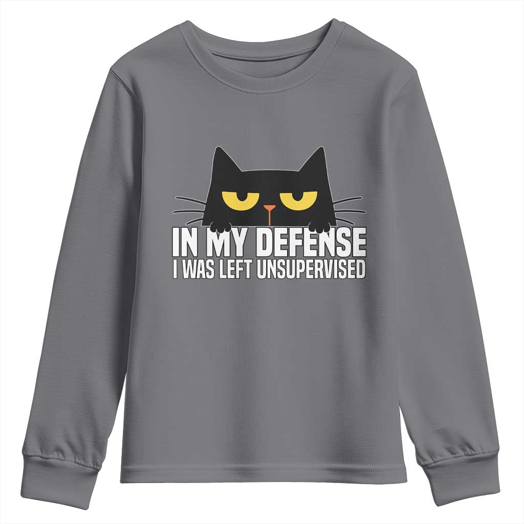 Sarcastic Black Cat Youth Sweatshirt In My Defense I Was Left Unsupervised TS14 Charcoal Print Your Wear