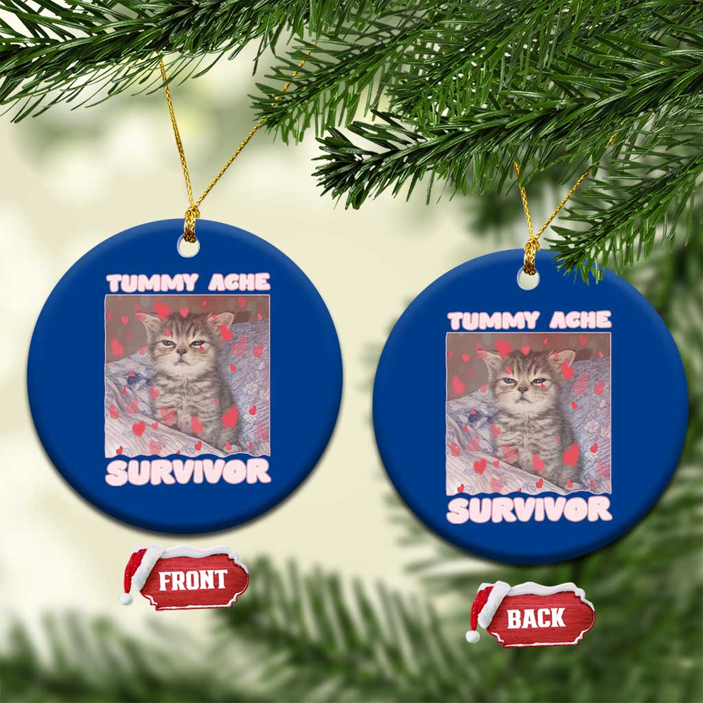 Tummy Ache Survivor Ceramic Ornament Funny Cute Cat Meme TS14 1pc Blue Print Your Wear