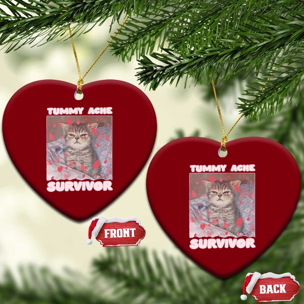 Tummy Ache Survivor Ceramic Ornament Funny Cute Cat Meme TS14 Print Your Wear