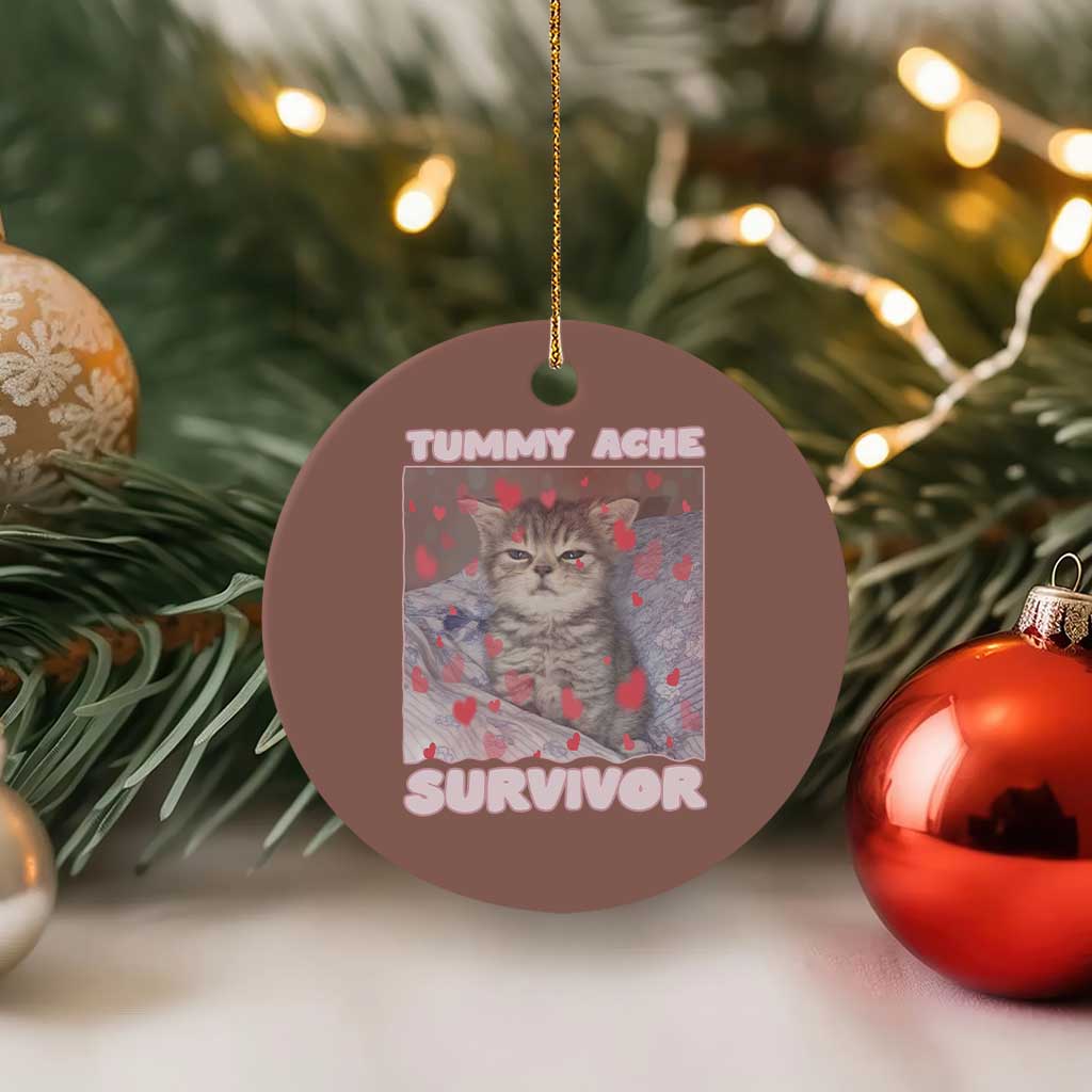 Tummy Ache Survivor Ceramic Ornament Funny Cute Cat Meme TS14 1pc Mocha Print Your Wear