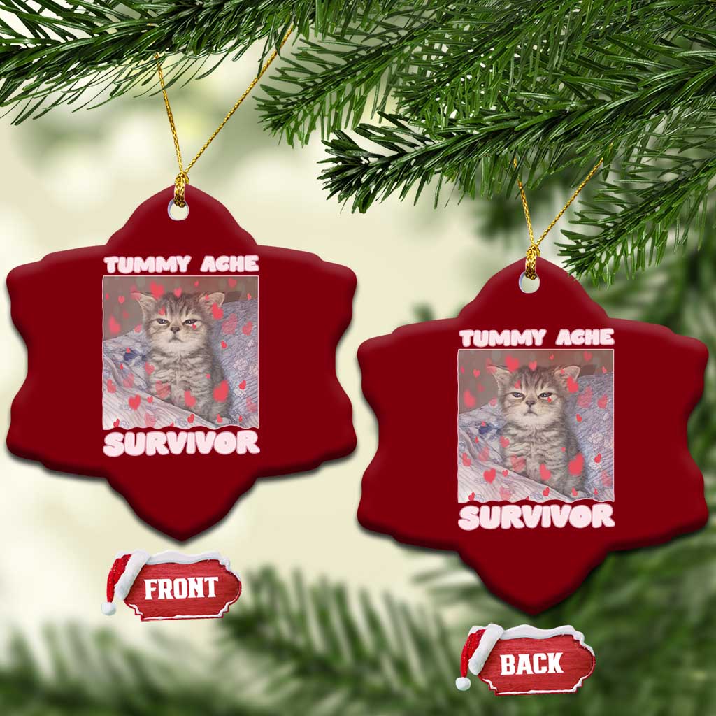 Tummy Ache Survivor Ceramic Ornament Funny Cute Cat Meme TS14 Print Your Wear
