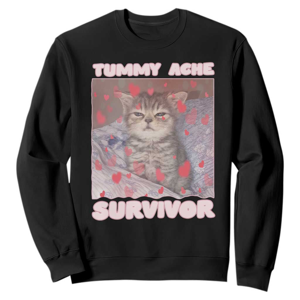 Tummy Ache Survivor Sweatshirt Funny Cute Cat Meme TS14 Black Print Your Wear