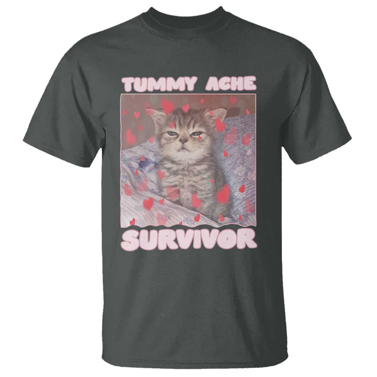 Tummy Ache Survivor T Shirt Funny Cute Cat Meme TS14 Dark Heather Print Your Wear