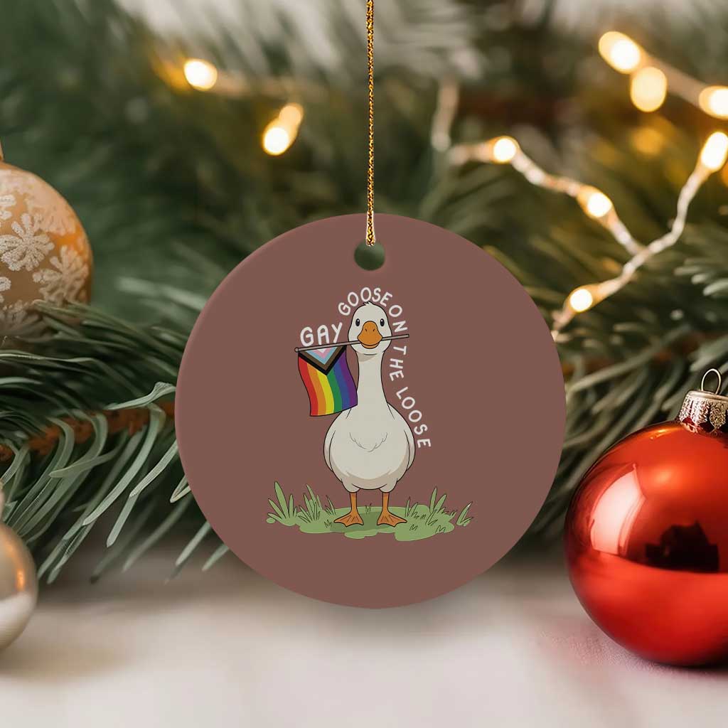 Silly Goose LGBTQ Rainbow Ceramic Ornament Funny Gay Pride Month TS14 1pc Mocha Print Your Wear