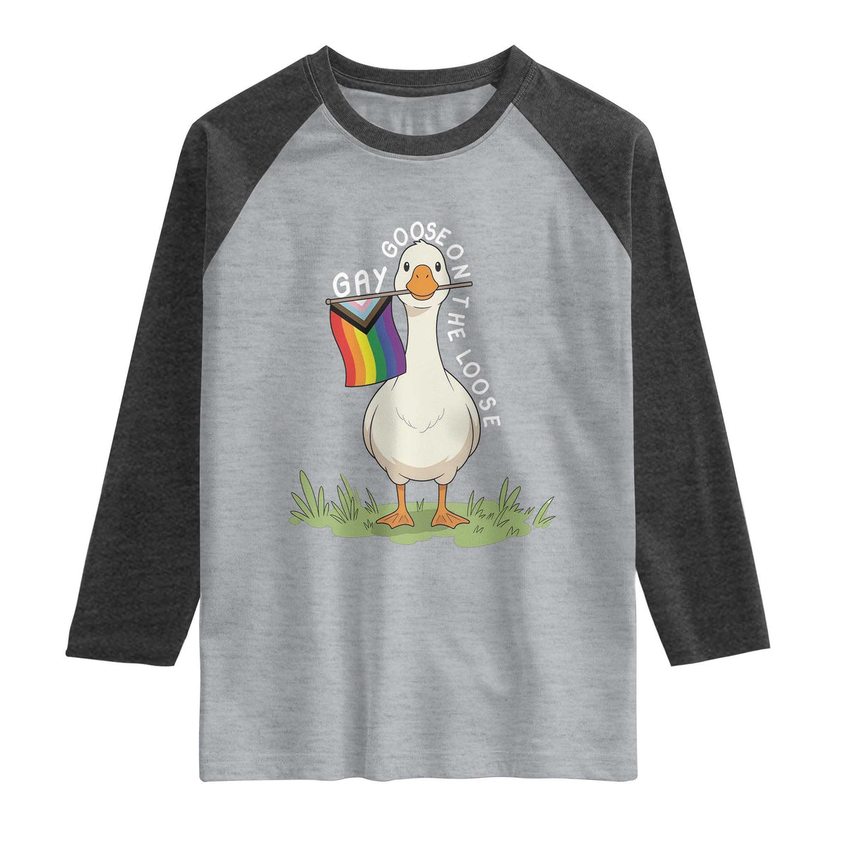 Silly Goose LGBTQ Rainbow Raglan Shirt Funny Gay Pride Month TS14 Heather Gray Heather Charcoal Print Your Wear