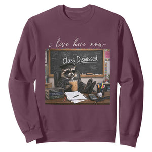 Funny Raccoon Graduation Sweatshirt I Live Here Now TS14 Maroon Print Your Wear