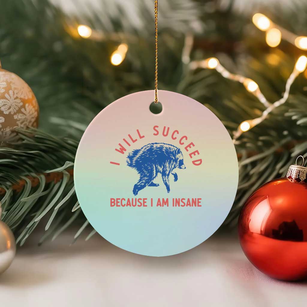 I Will Succeed Because I Am Insane Ceramic Ornament Funny Jimothy Raccoon Meme TS14 1pc Pastel Print Your Wear