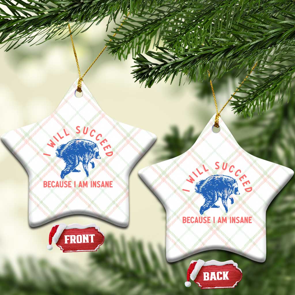 I Will Succeed Because I Am Insane Ceramic Ornament Funny Jimothy Raccoon Meme TS14 Print Your Wear
