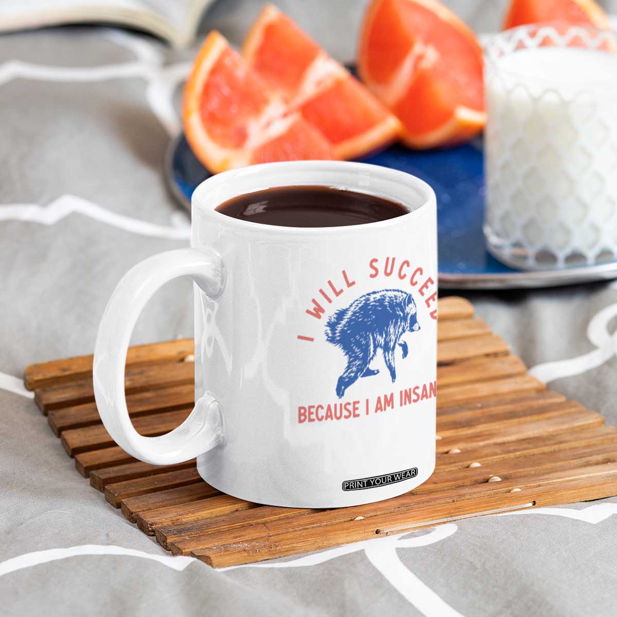 I Will Succeed Because I Am Insane Coffee Mug Funny Jimothy Raccoon Meme TS14 Print Your Wear
