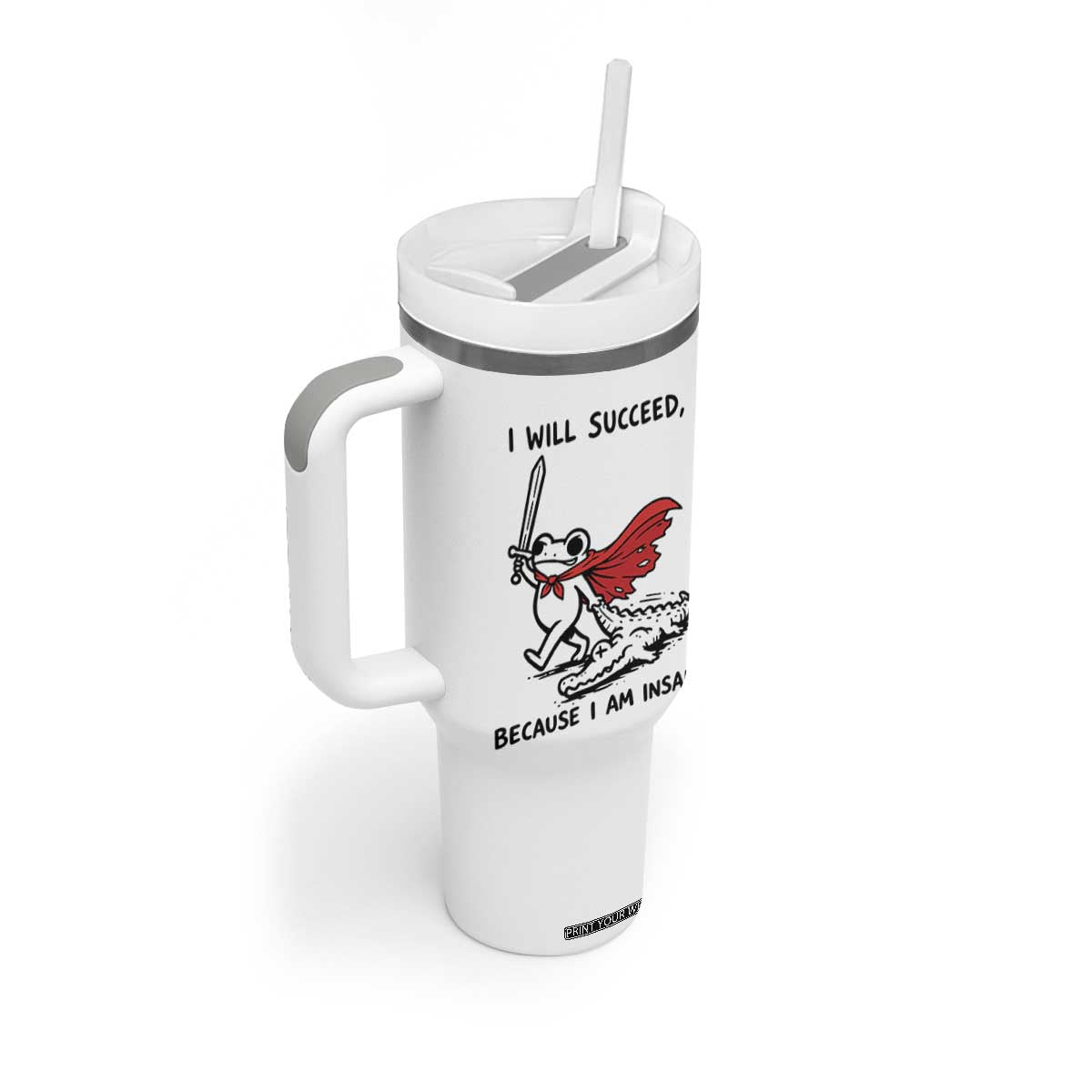 I Will Succeed Because I Am Insane Tumbler With Handle Funny Frog Sarcastic Humor TS14 Print Your Wear