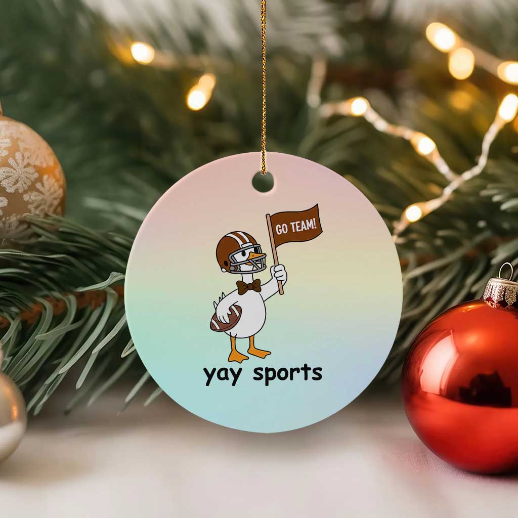 Silly Goose Football Ceramic Ornament Yays Sport TS14 1pc Pastel Print Your Wear