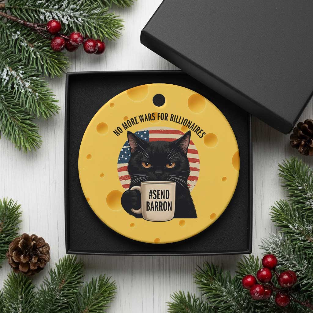 Send Barron Meme Ceramic Ornament Funny Cat Sarcastic Political TS14 1pc Yellow Cheese Print Your Wear