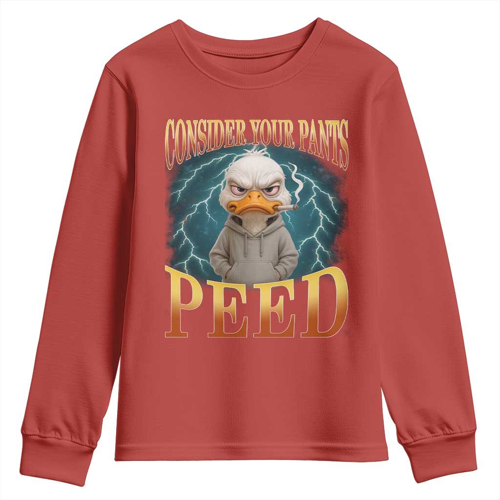 Funny Smoking Goose Meme Youth Sweatshirt Consider Your Pants Peed TS14 Red Print Your Wear