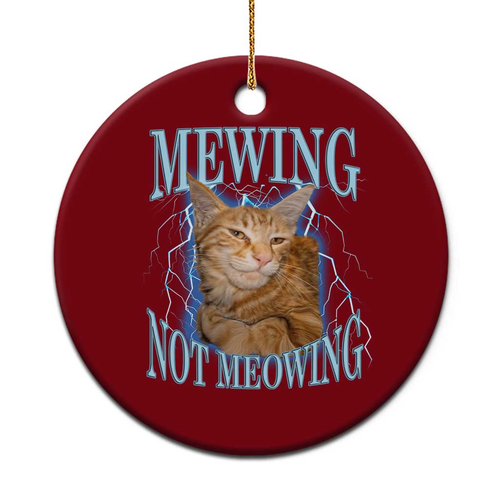 Mewing Not Meowing Ceramic Ornament Funny Cat Meme TS14 1pc Red Print Your Wear