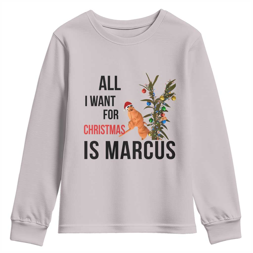 Marcus The Worm Robert Meme Youth Sweatshirt All I Want For Christmas Is Marcus TS14 Ice Gray Print Your Wear