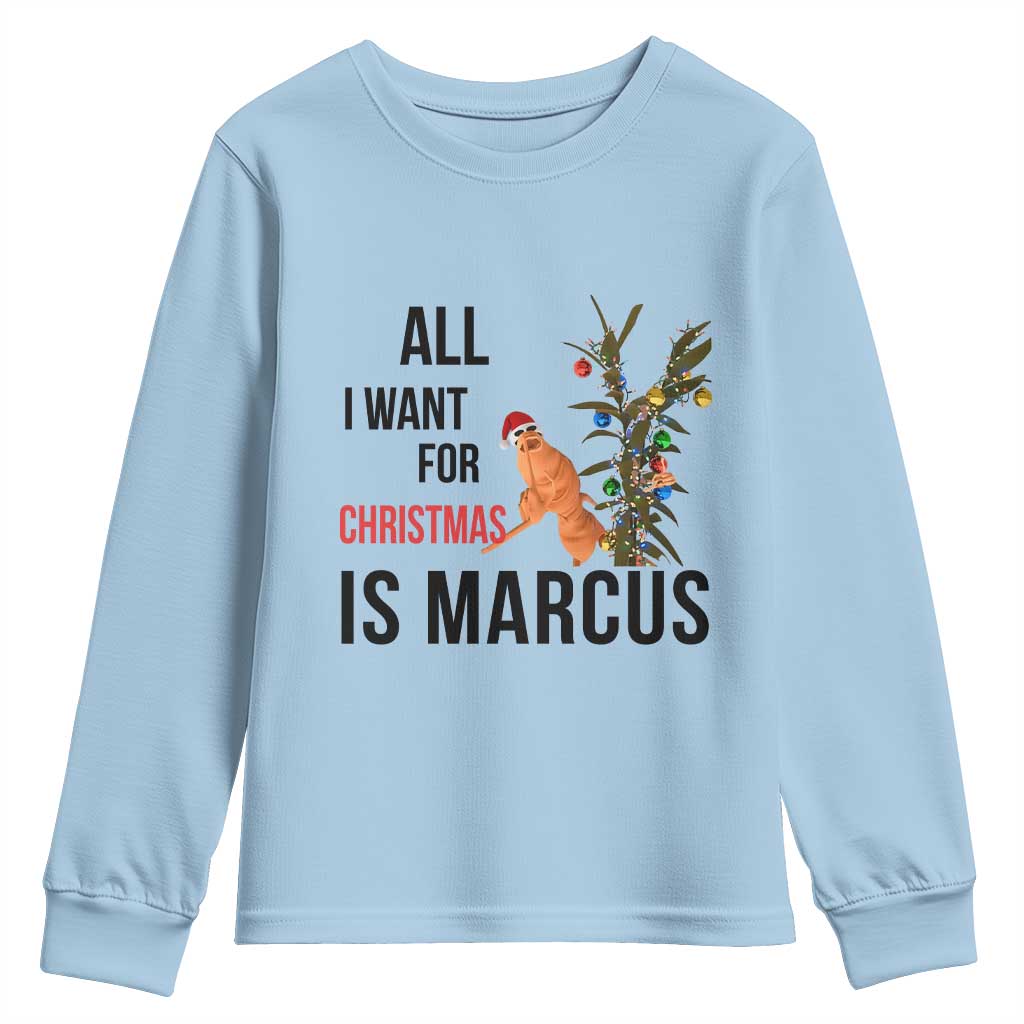 Marcus The Worm Robert Meme Youth Sweatshirt All I Want For Christmas Is Marcus TS14 Light Blue Print Your Wear