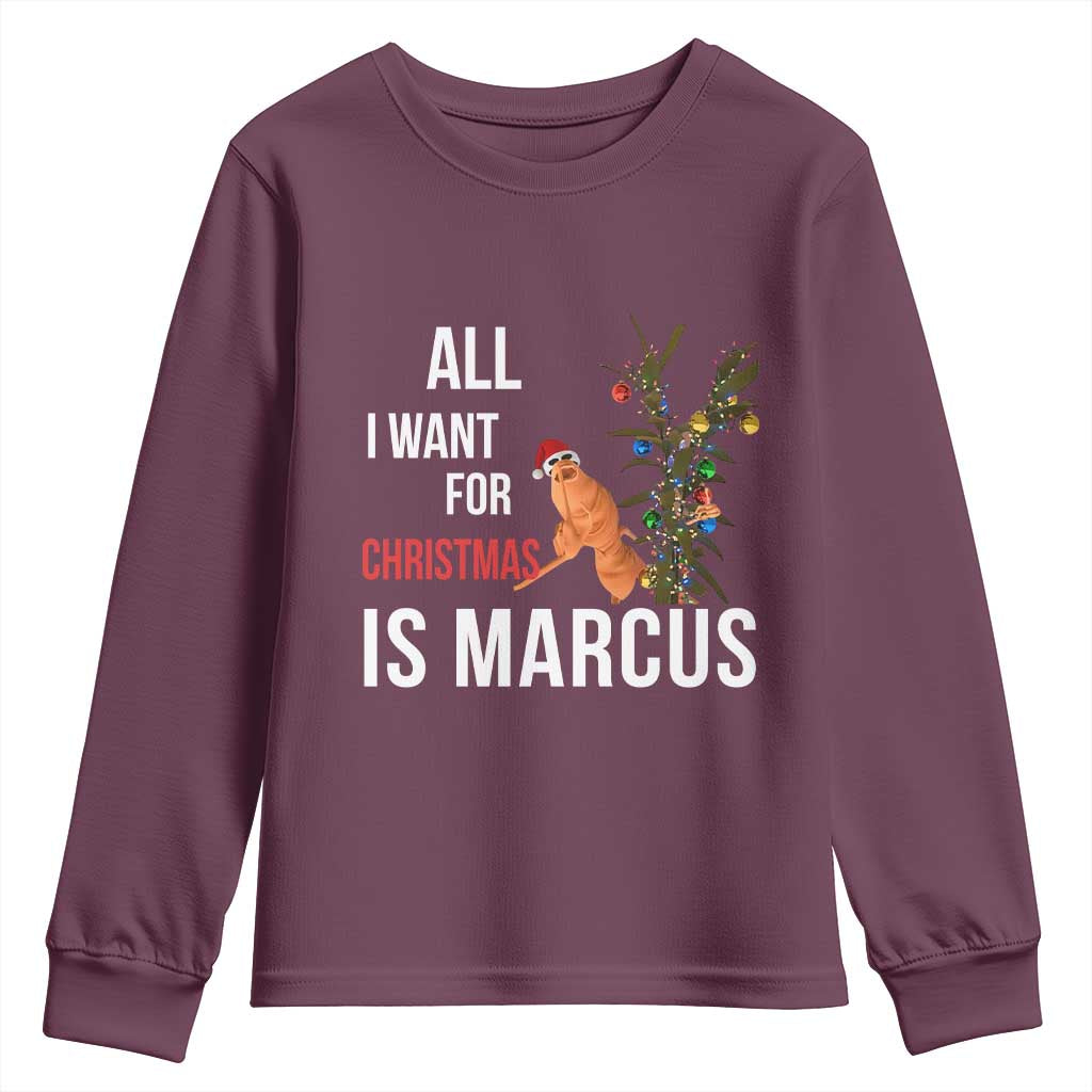 Marcus The Worm Robert Christmas Meme Youth Sweatshirt All I Want For Xmas Is Marcus TS14 Maroon Print Your Wear
