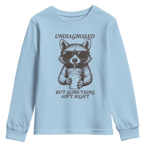 Undiagnosed But Something Aint Right Youth Sweatshirt Funny Racoon Saying TS14 Light Blue Print Your Wear
