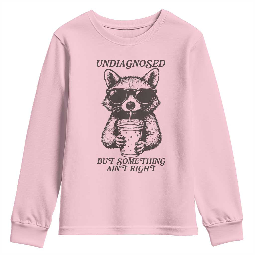 Undiagnosed But Something Aint Right Youth Sweatshirt Funny Racoon Saying TS14 Light Pink Print Your Wear