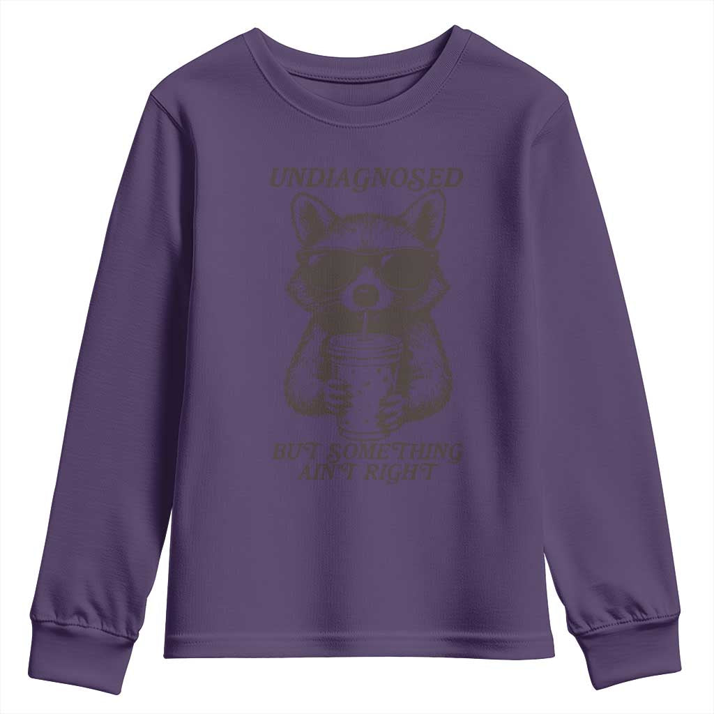 Undiagnosed But Something Aint Right Youth Sweatshirt Funny Racoon Saying TS14 Purple Print Your Wear