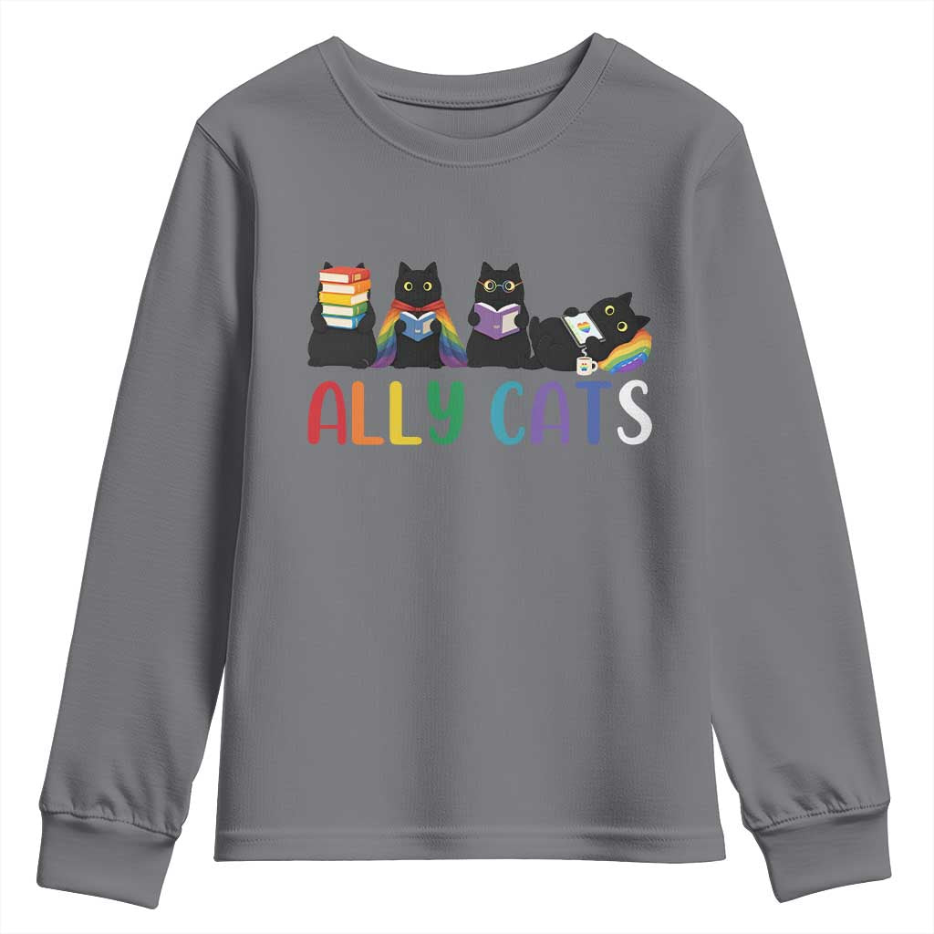 Rainbow Pride Ally Cats Youth Sweatshirt LGBTQ Inclusion Cat Lover Gift TS14 Charcoal Print Your Wear