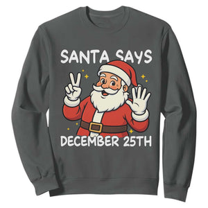 Santa Christmas December 25 Sweatshirt TS14 Dark Heather Print Your Wear