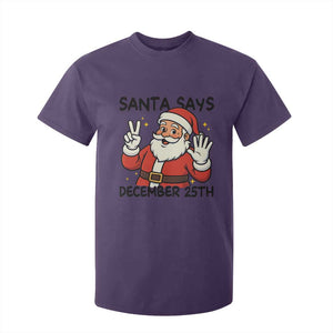 Santa Christmas December 25th Season T Shirt For Kid TS14 Purple Print Your Wear