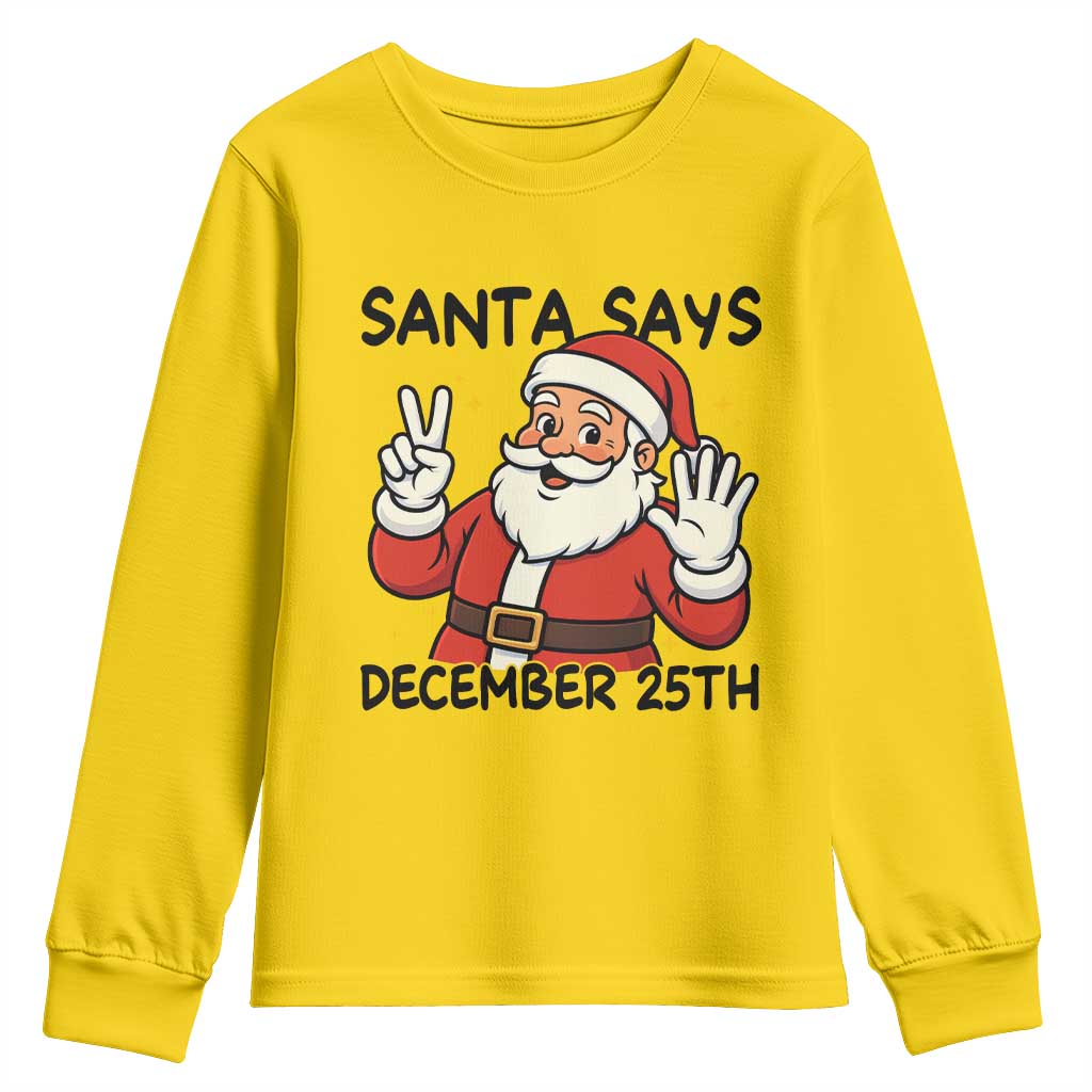 Santa Christmas December 25th Season Youth Sweatshirt TS14 Daisy Print Your Wear