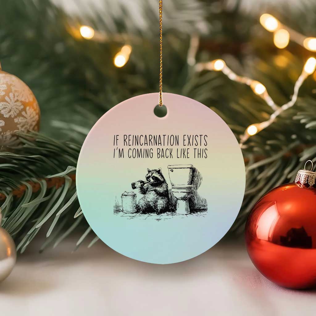Funny Drunk Raccoon Ceramic Ornament Trashed Panda Meme TS14 1pc Pastel Print Your Wear