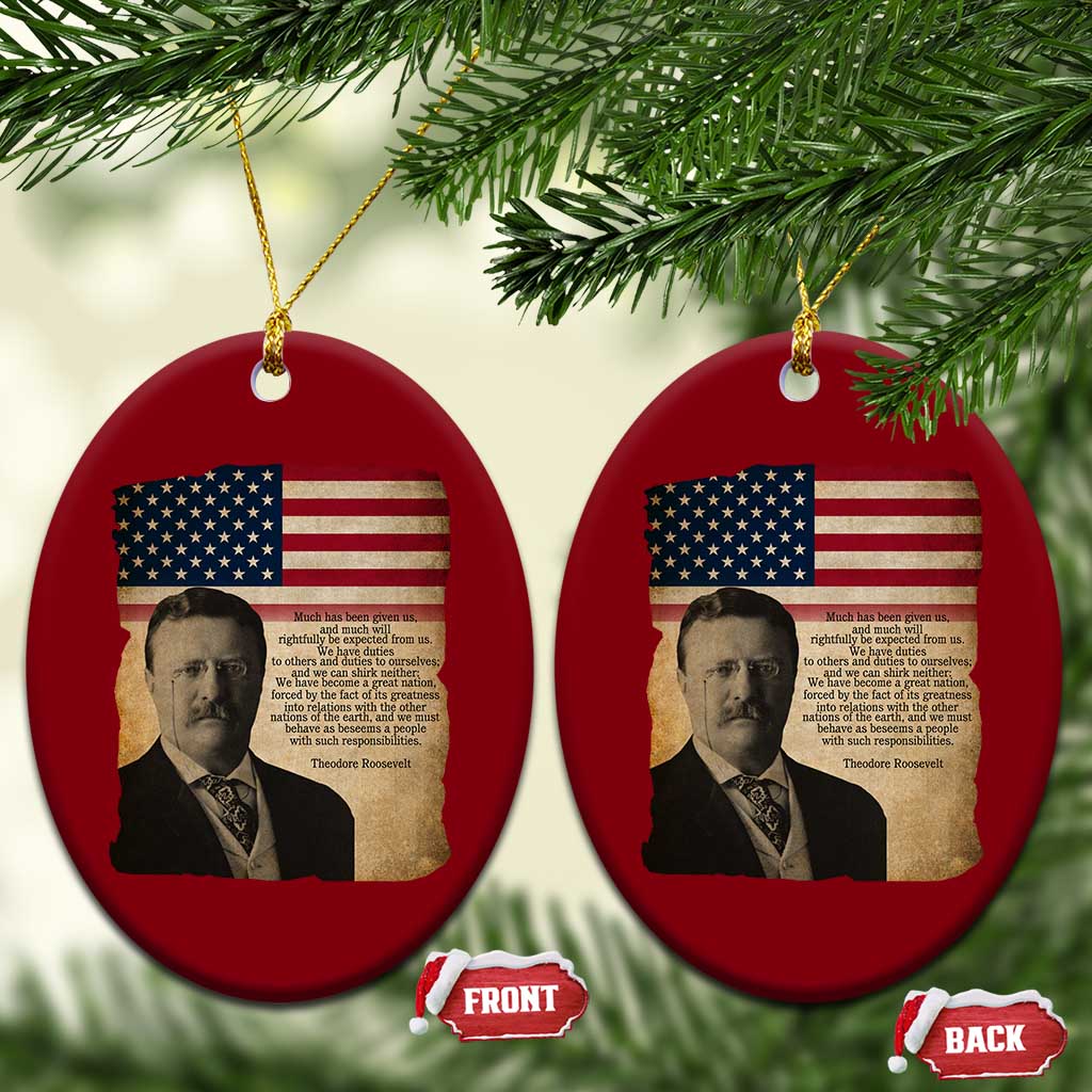 Theodore Roosevelt Quote Ceramic Ornament American President History TS14 Print Your Wear