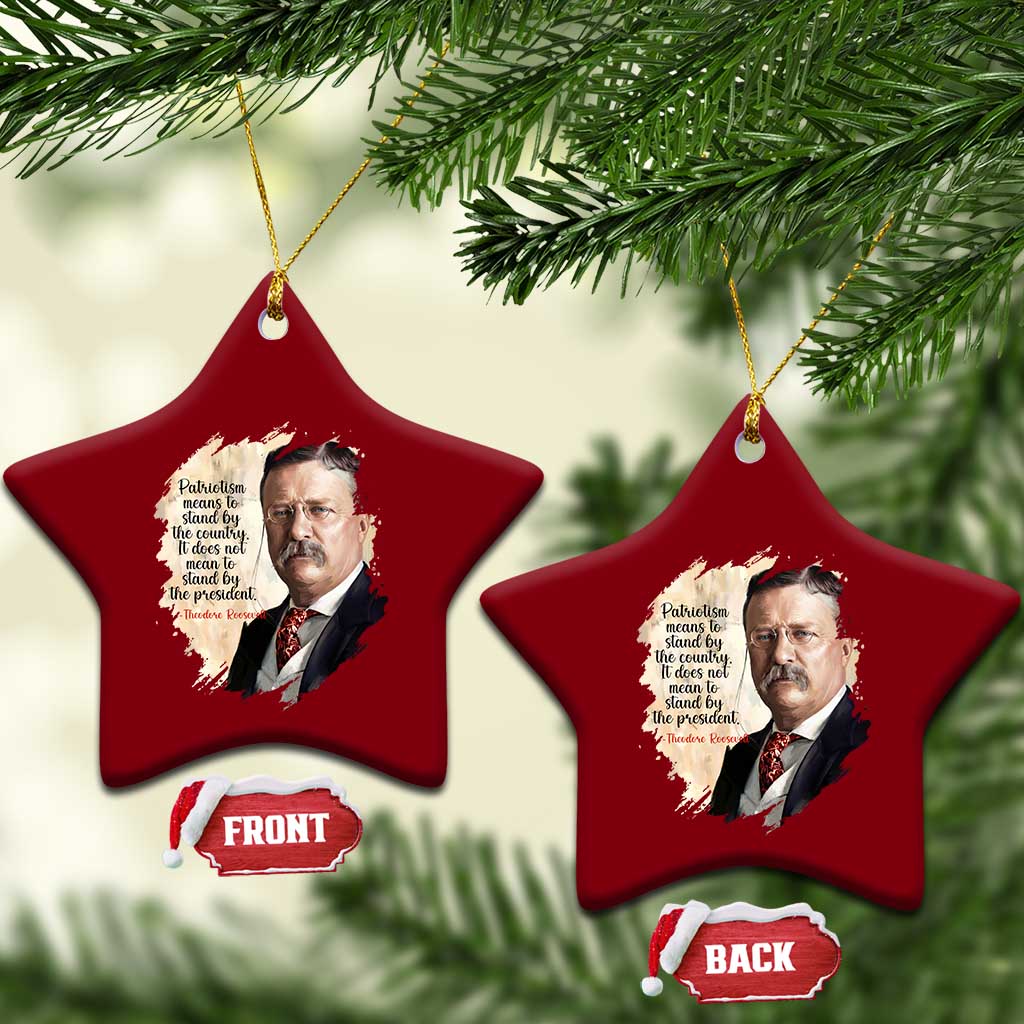 Theodore Roosevelt Quote Ceramic Ornament American History Presidents Day TS14 Print Your Wear