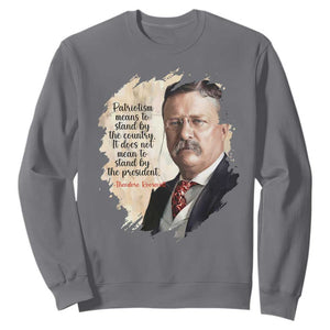 Theodore Roosevelt Quote Sweatshirt American History Presidents Day TS14 Charcoal Print Your Wear