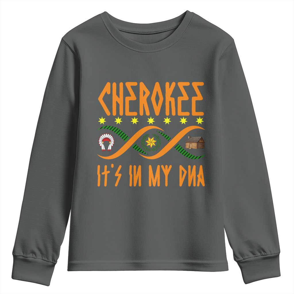 Cherokee Native American DNA Pride Youth Sweatshirt It Is In My DNA TS14 Dark Heather Print Your Wear