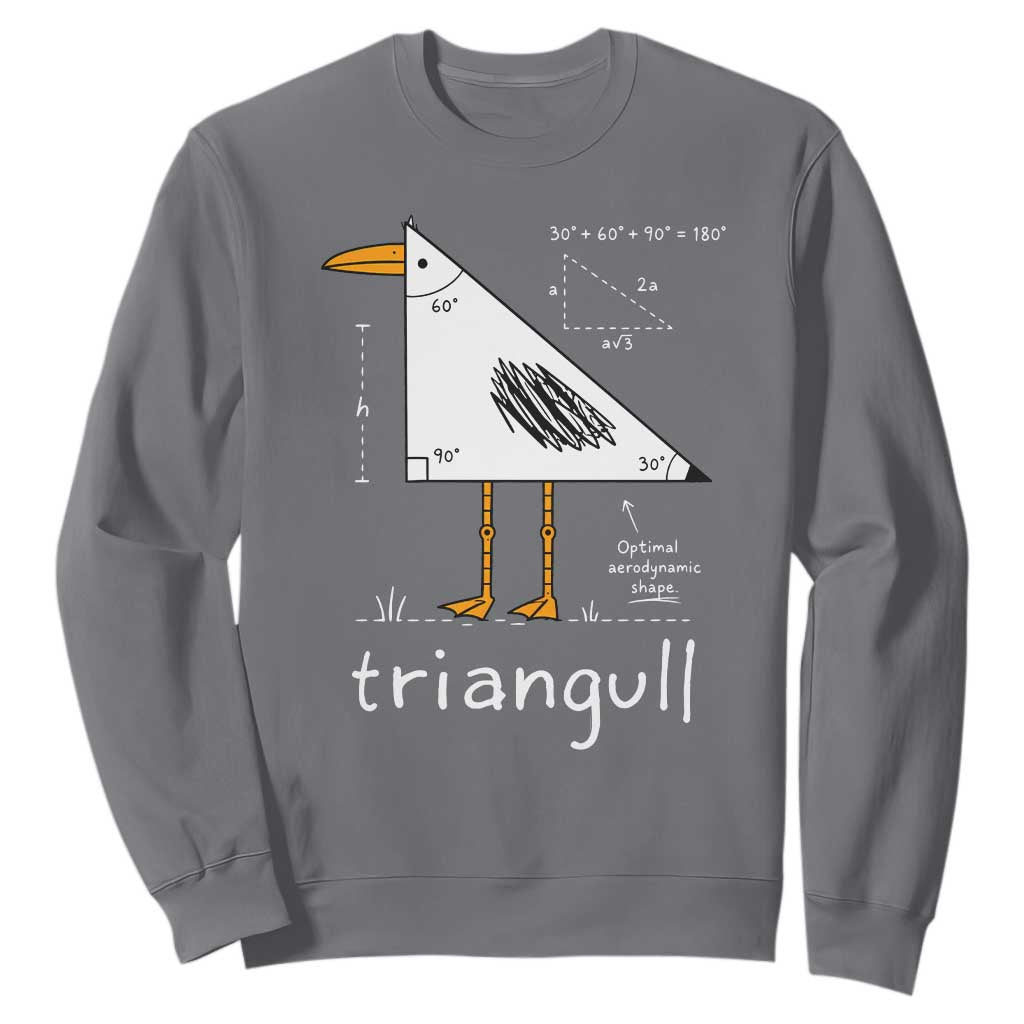 Triangull Triangle Seagull Bird Pun Sweatshirt Funny Math Teacher Joke Humor TS14 Charcoal Print Your Wear