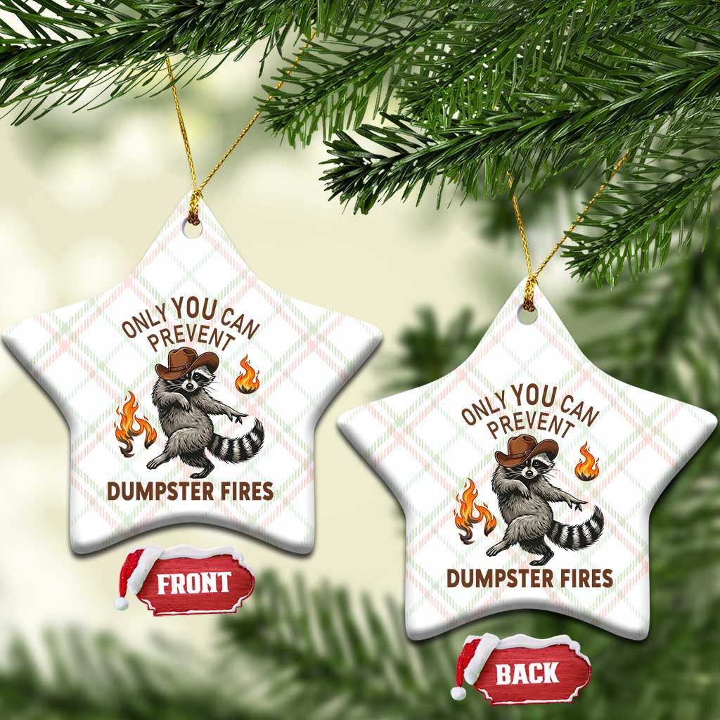 Only You Can Prevent Dumpster Fires Ceramic Ornament Funny Raccoon Sarcastic Humor TS14 Print Your Wear