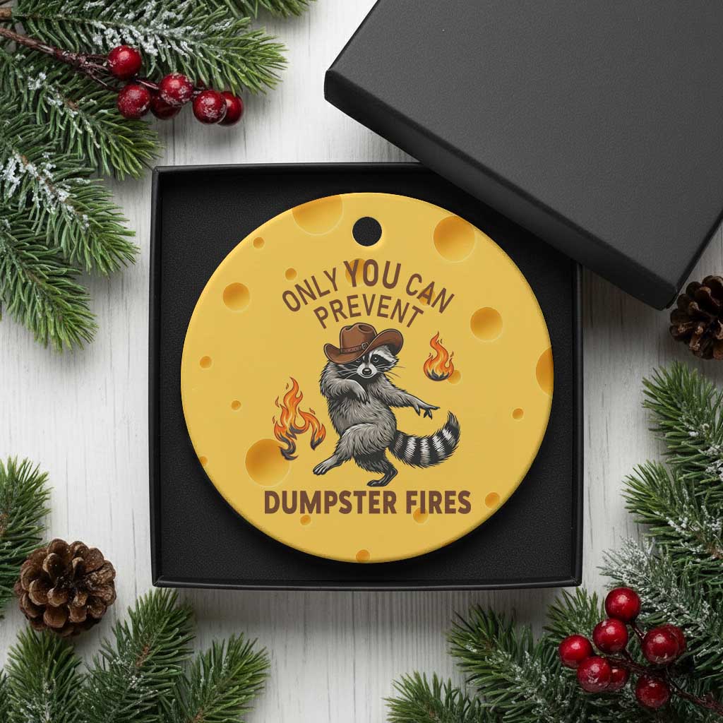 Only You Can Prevent Dumpster Fires Ceramic Ornament Funny Raccoon Sarcastic Humor TS14 1pc Yellow Cheese Print Your Wear