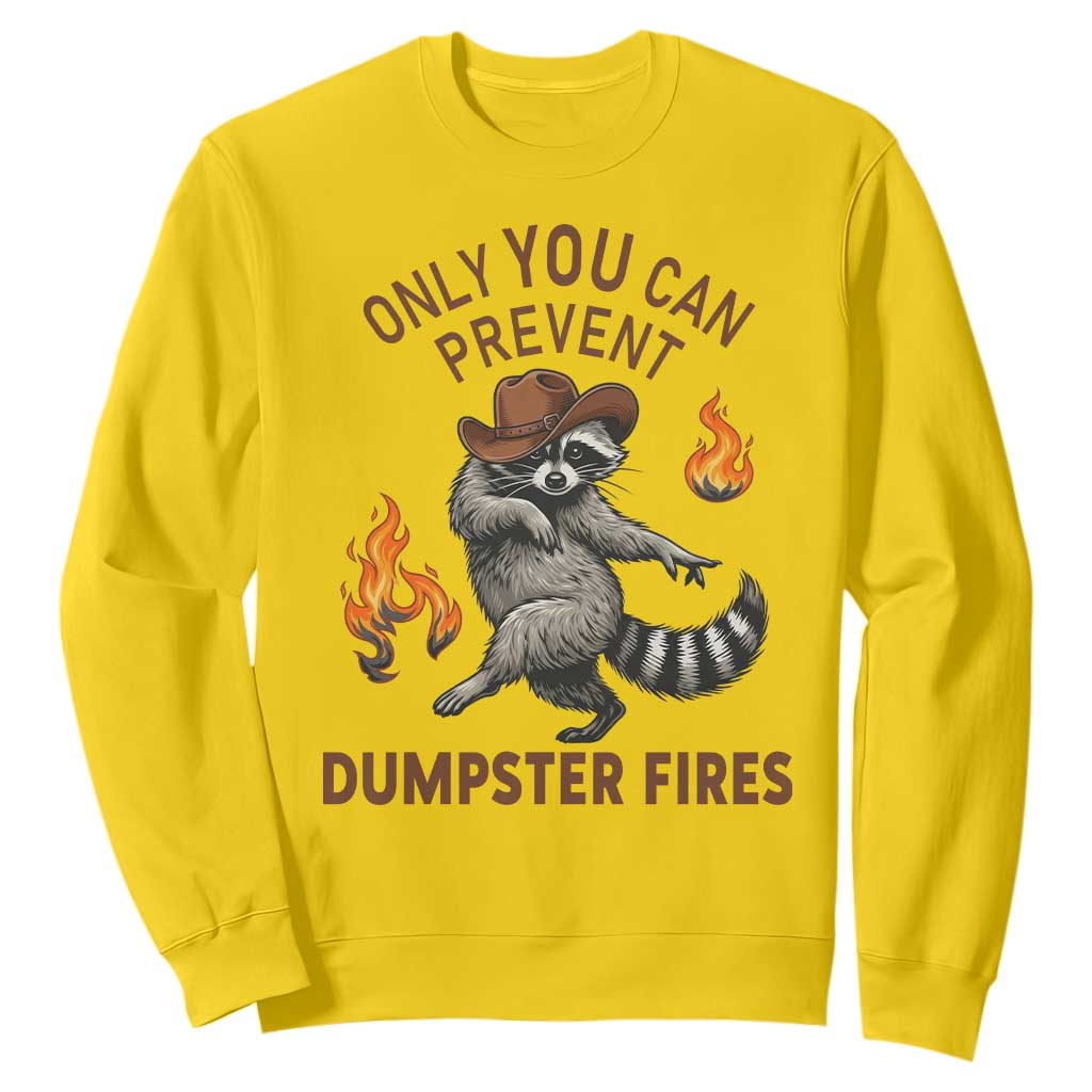 Only You Can Prevent Dumpster Fires Sweatshirt Funny Raccoon Sarcastic Humor TS14 Daisy Print Your Wear