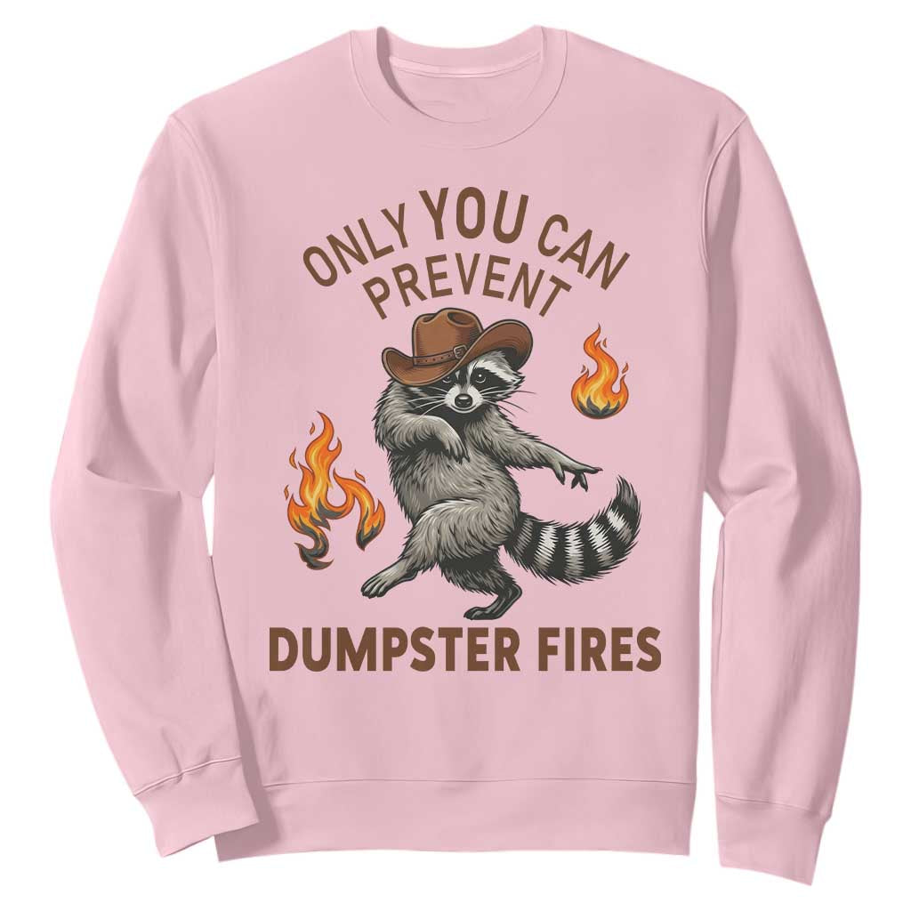 Only You Can Prevent Dumpster Fires Sweatshirt Funny Raccoon Sarcastic Humor TS14 Light Pink Print Your Wear