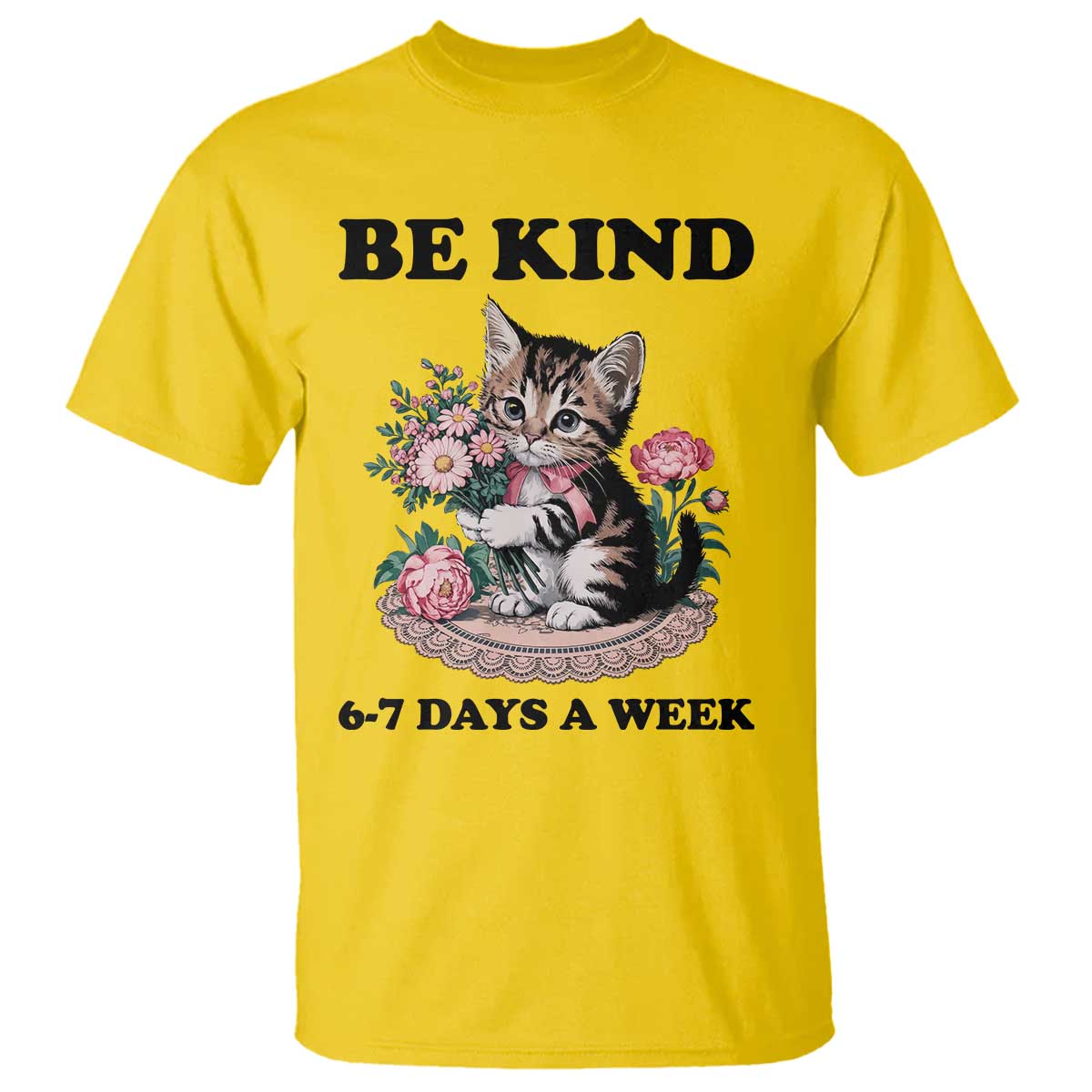 Be Kind 6 7 Days a Week T Shirt Funny Six Seven Cat Teacher Meme TS14 Daisy Print Your Wear
