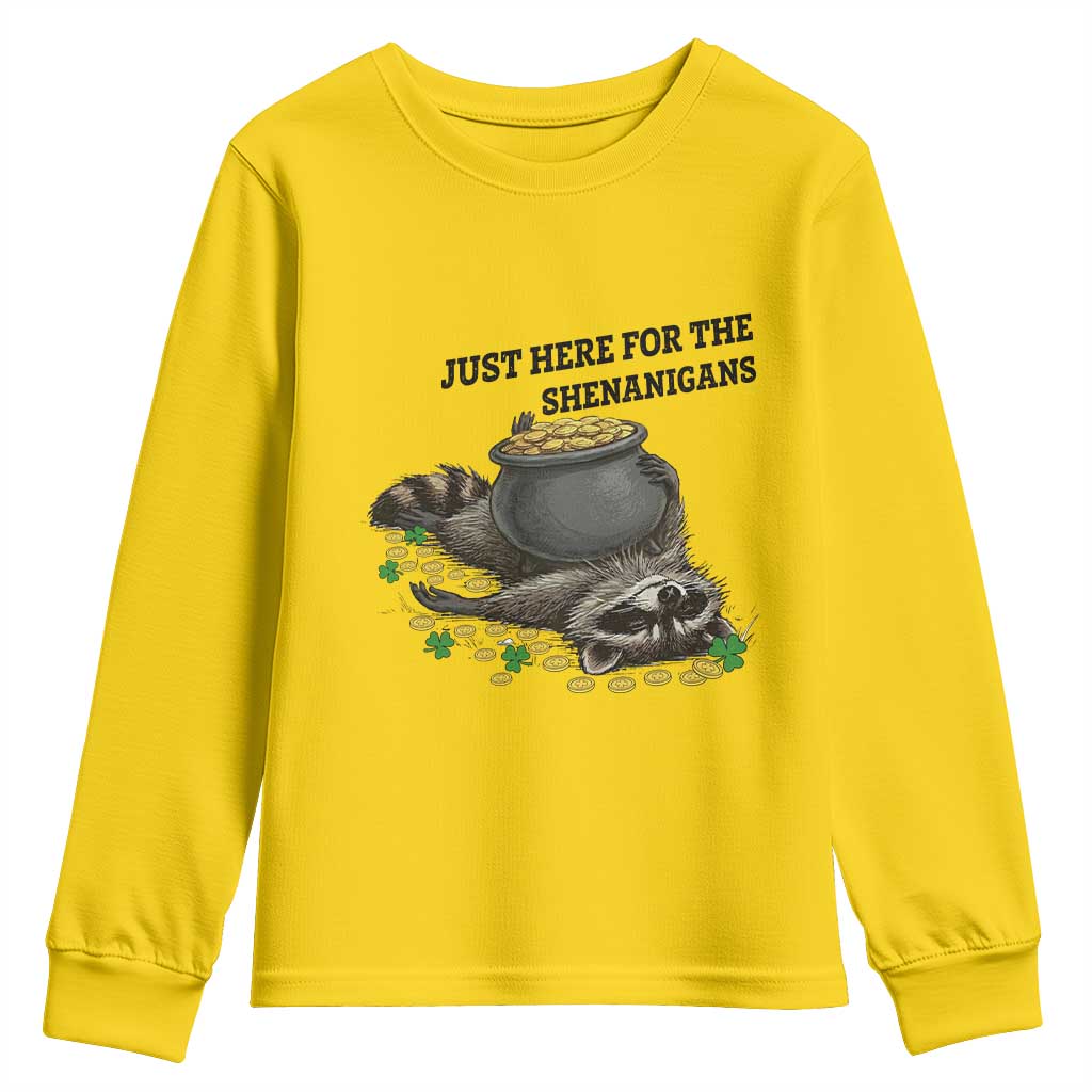 Funny Raccoon St Patricks Day Meme Youth Sweatshirt Just Here For The Shenanigans TS14 Daisy Print Your Wear